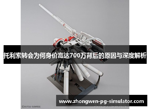 托利索转会为何身价高达700万背后的原因与深度解析