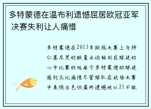 多特蒙德在温布利遗憾屈居欧冠亚军 决赛失利让人痛惜